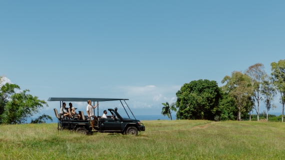 A suggested itinerary for the perfect day in South Mauritius